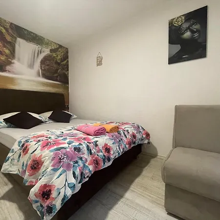 Apartment Zigana *
