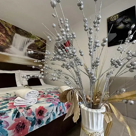 Apartment Zigana *