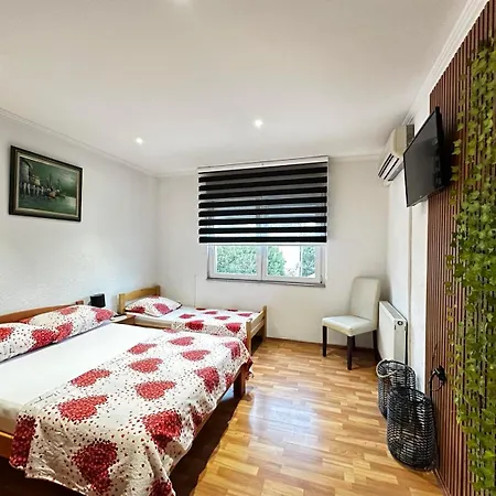 Apartment Zigana *